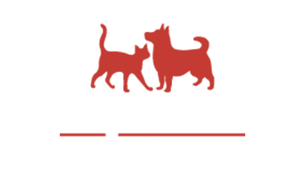 citykatten