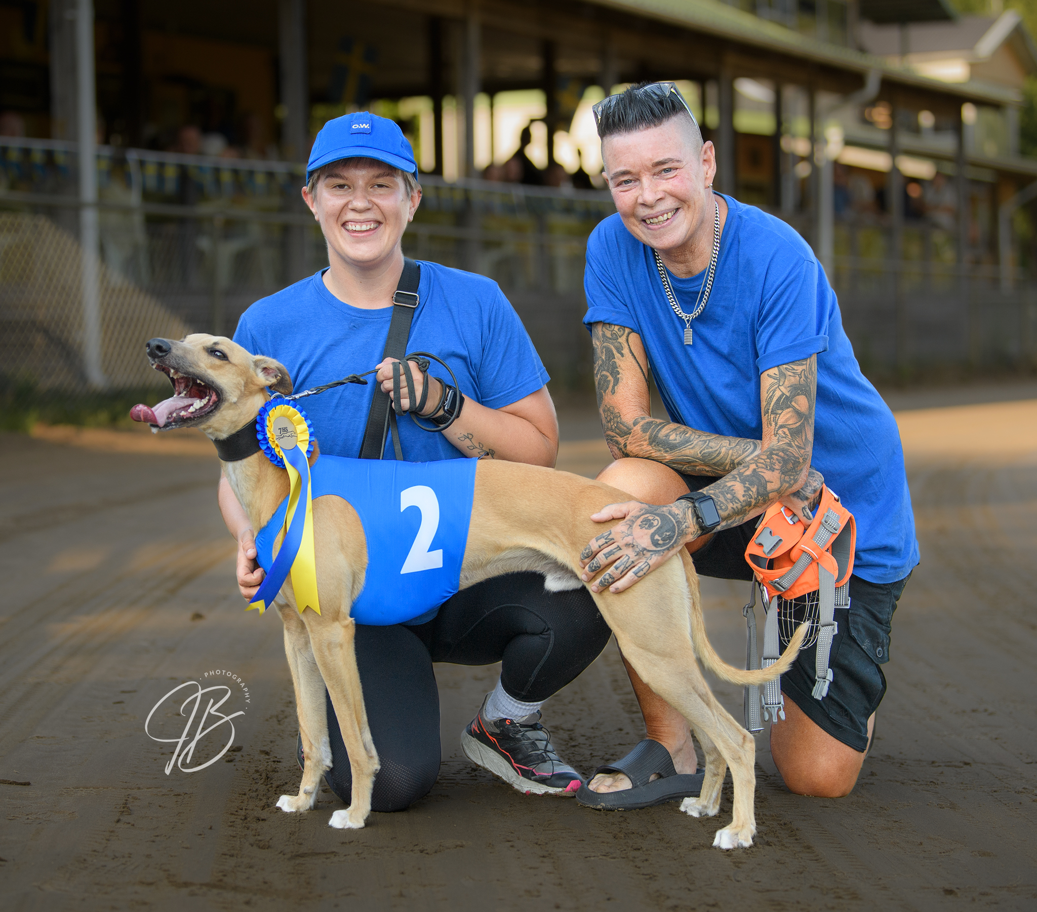 Vinnare lopp 2 SM Whippet D Final Sprint: Nisse Vinnare lopp 2 SM Whippet D Final Sprint: Nisse