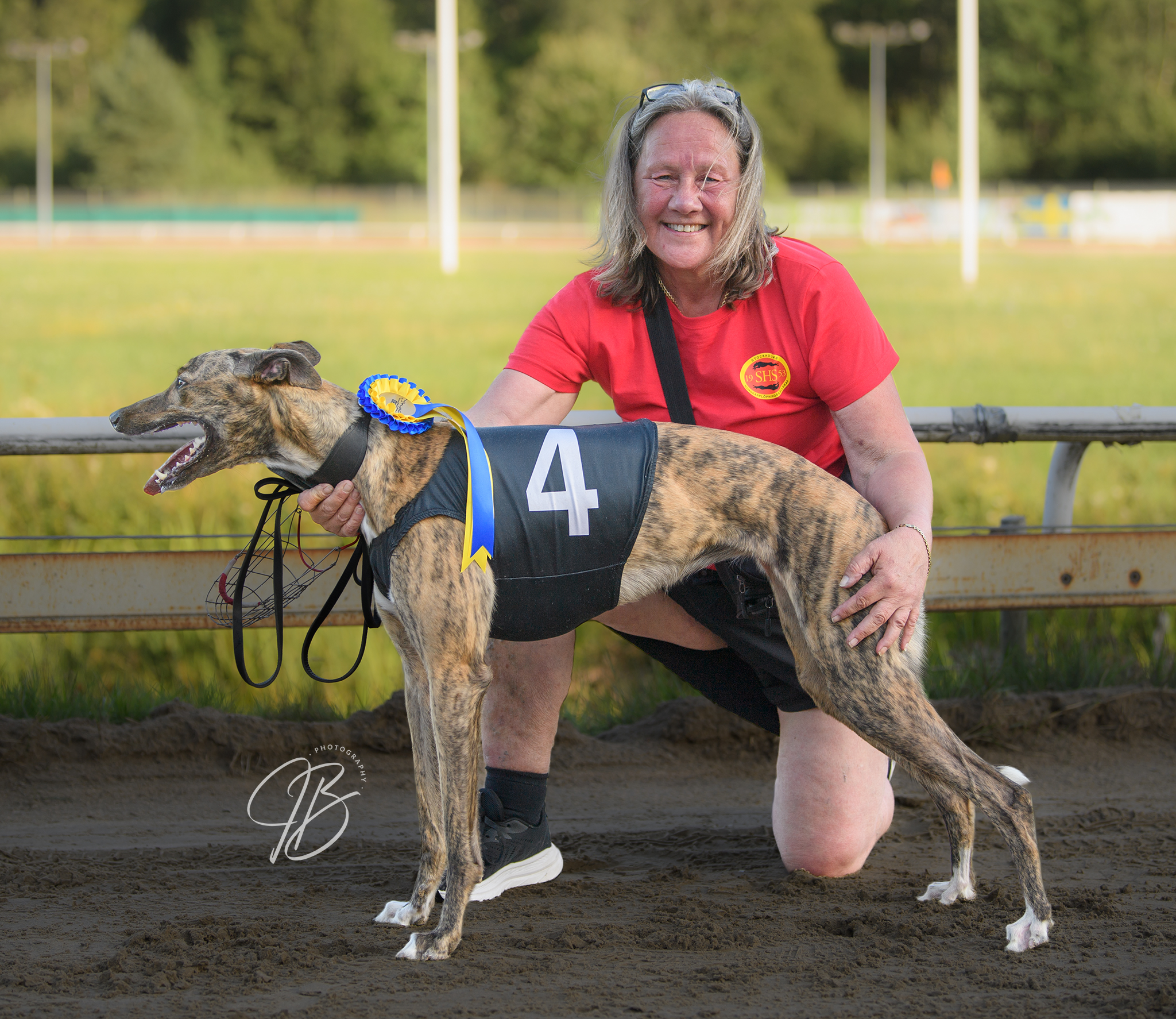 Vinnare lopp 11 SM Greyhound Tik Consulation: Whirlwind Dream