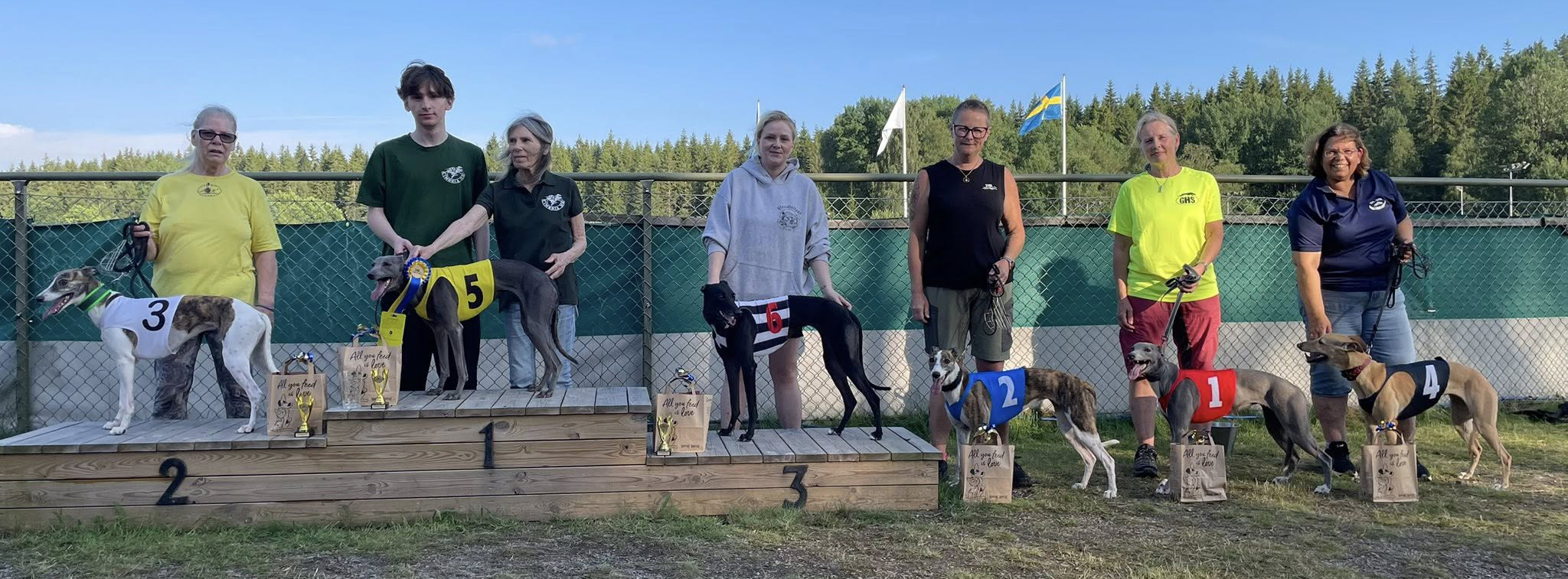 Prispallen lopp 4 SM Whippet C-Final Medel