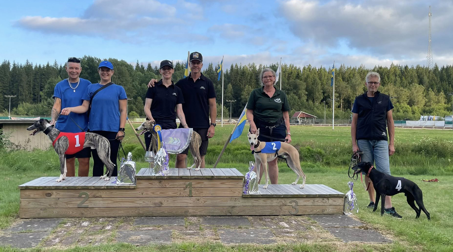 Prispallen lopp 9 3D Cup Syrén Final