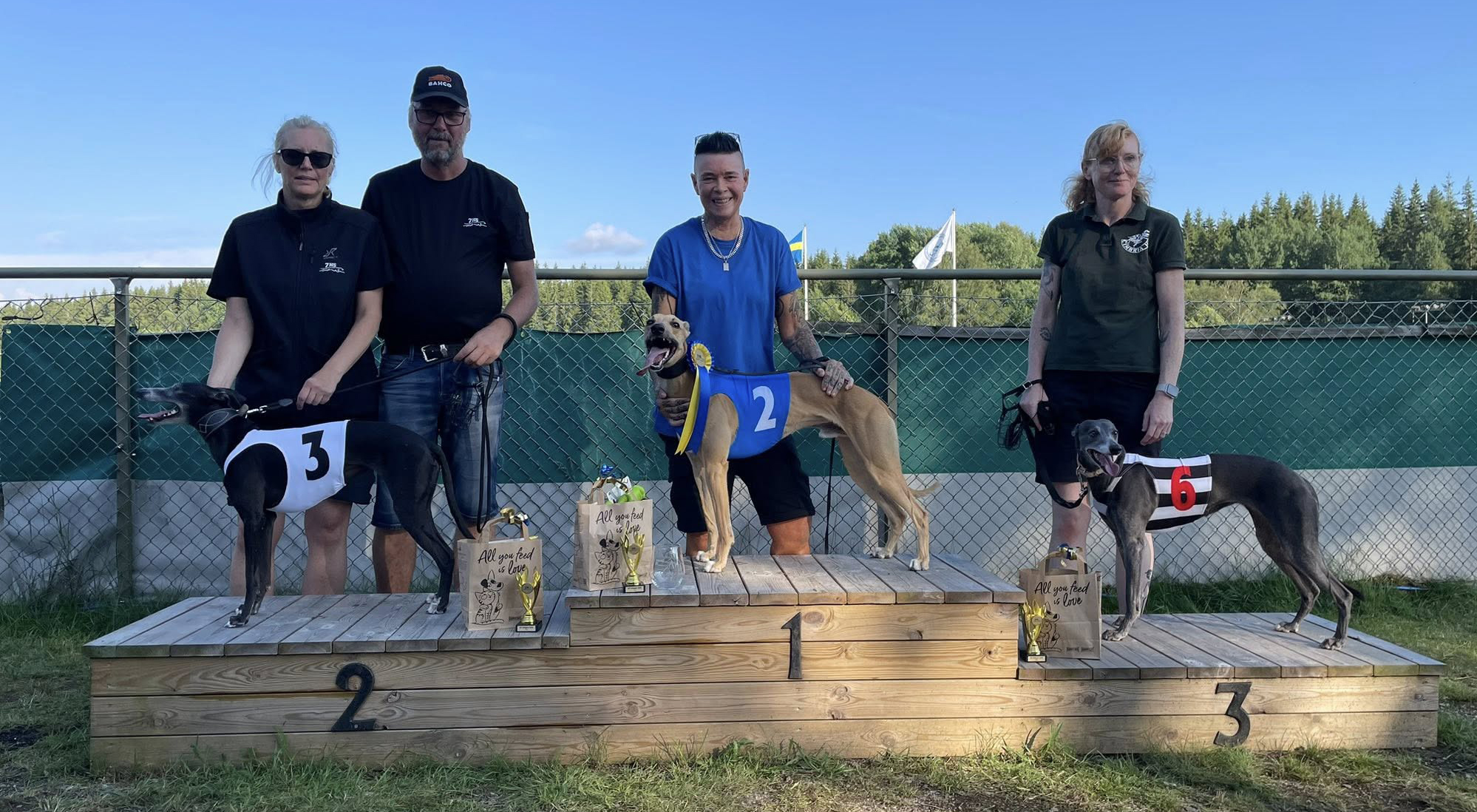 Prispallen lopp 2 Final SM Whippet Veteran 2025 Prispallen lopp 2 Final SM Whippet Veteran 2025