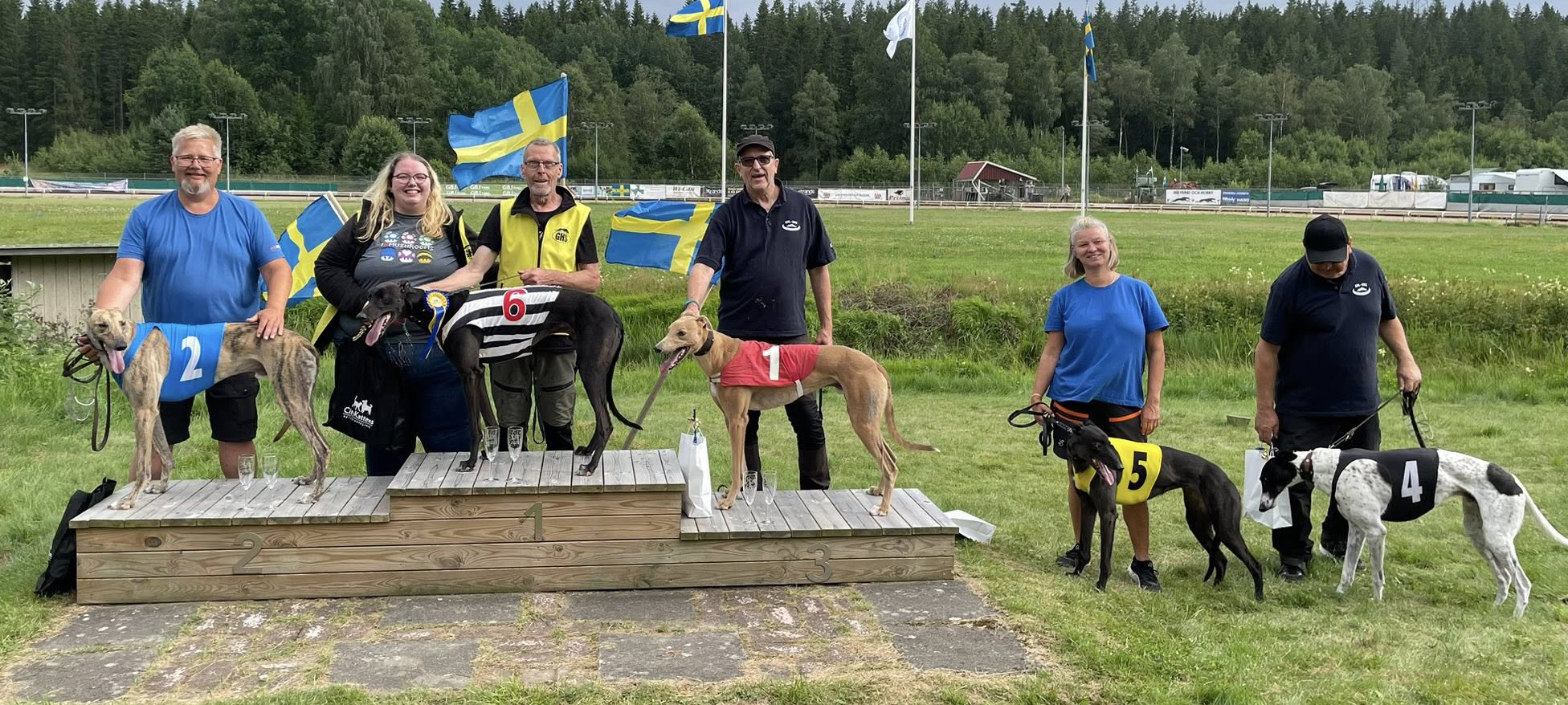 Prispallen lopp 5 SM Greyhound Sprint Consulation 2025