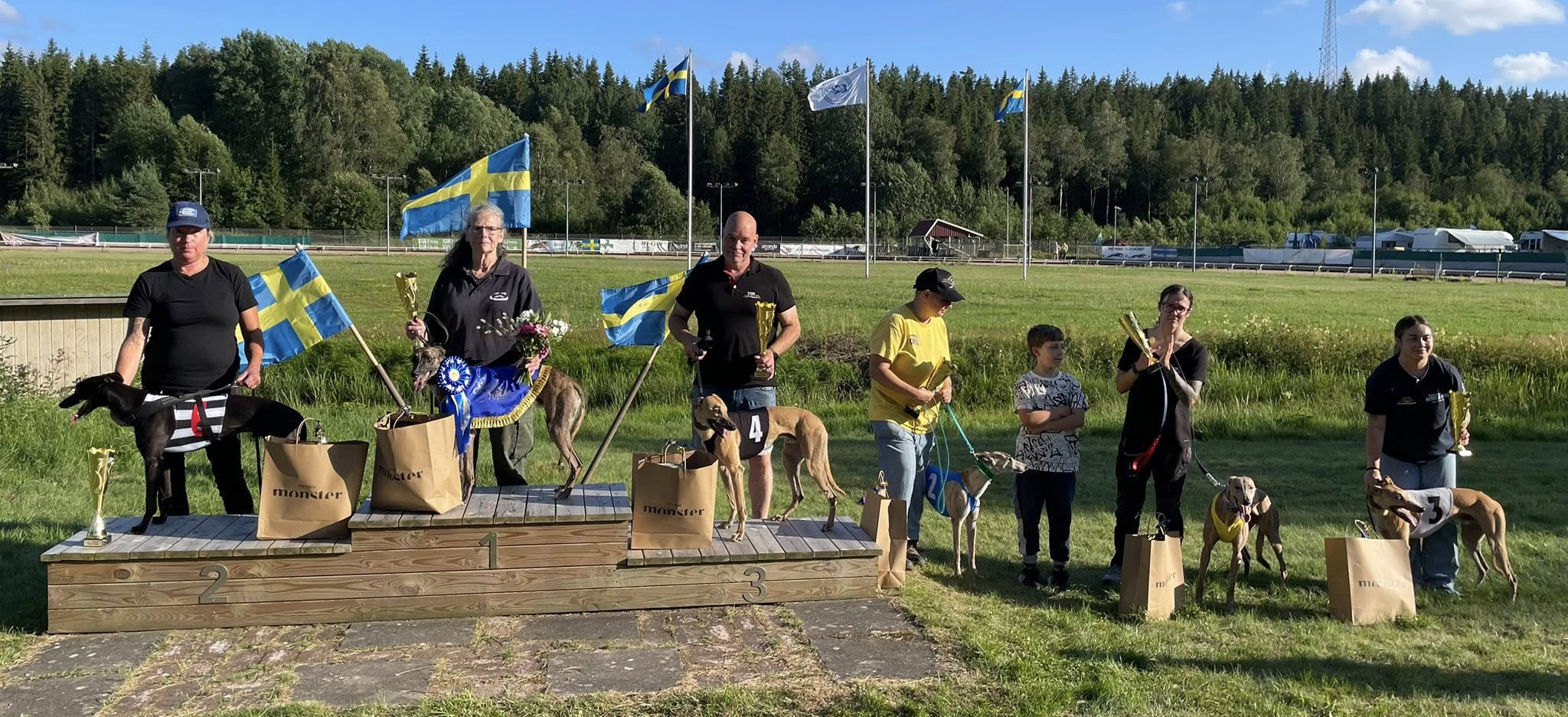 Prispallen lopp 10 Final SM Whippet Öppna 2025