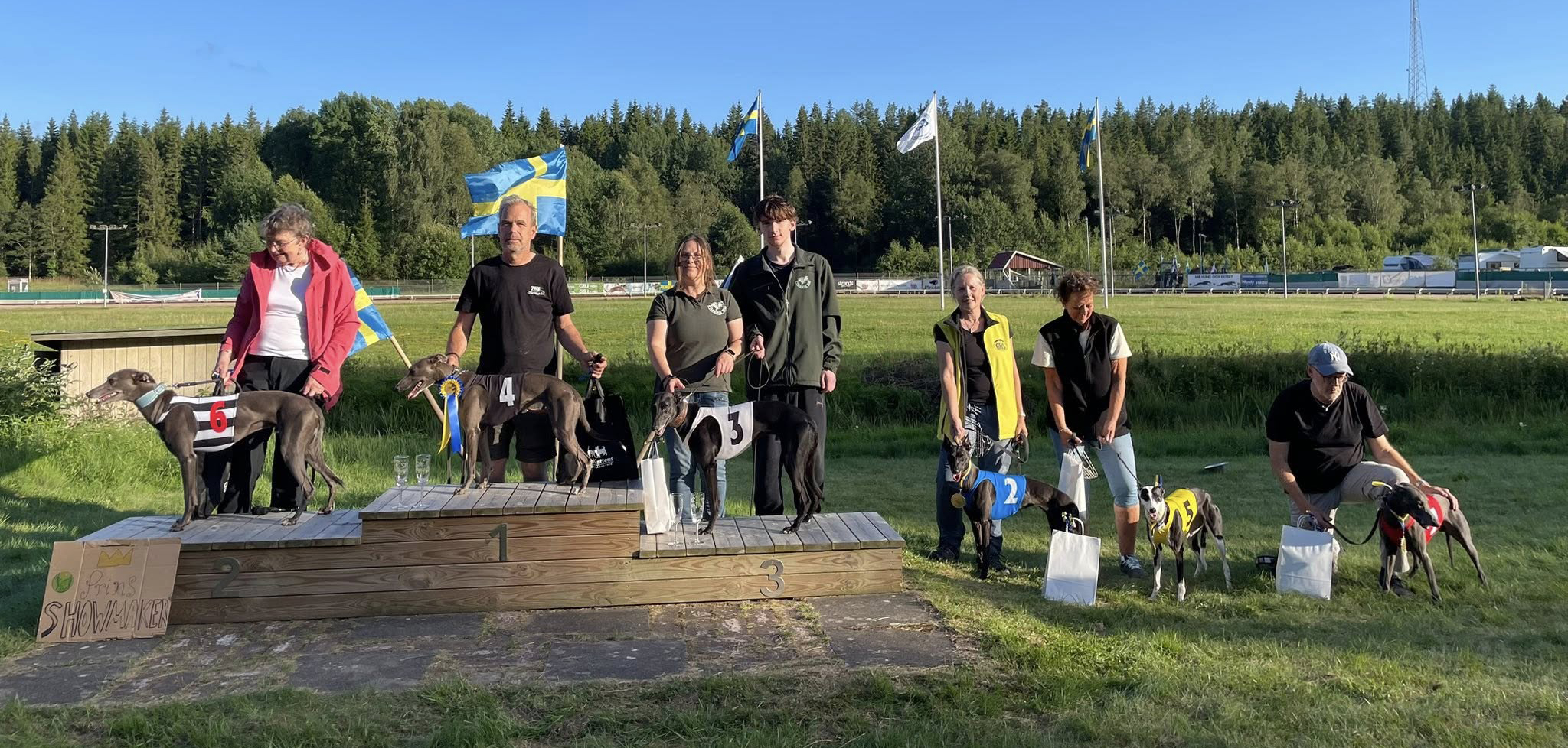 Prispallen lopp 12 SM Whippet Tikar B-Final 2025