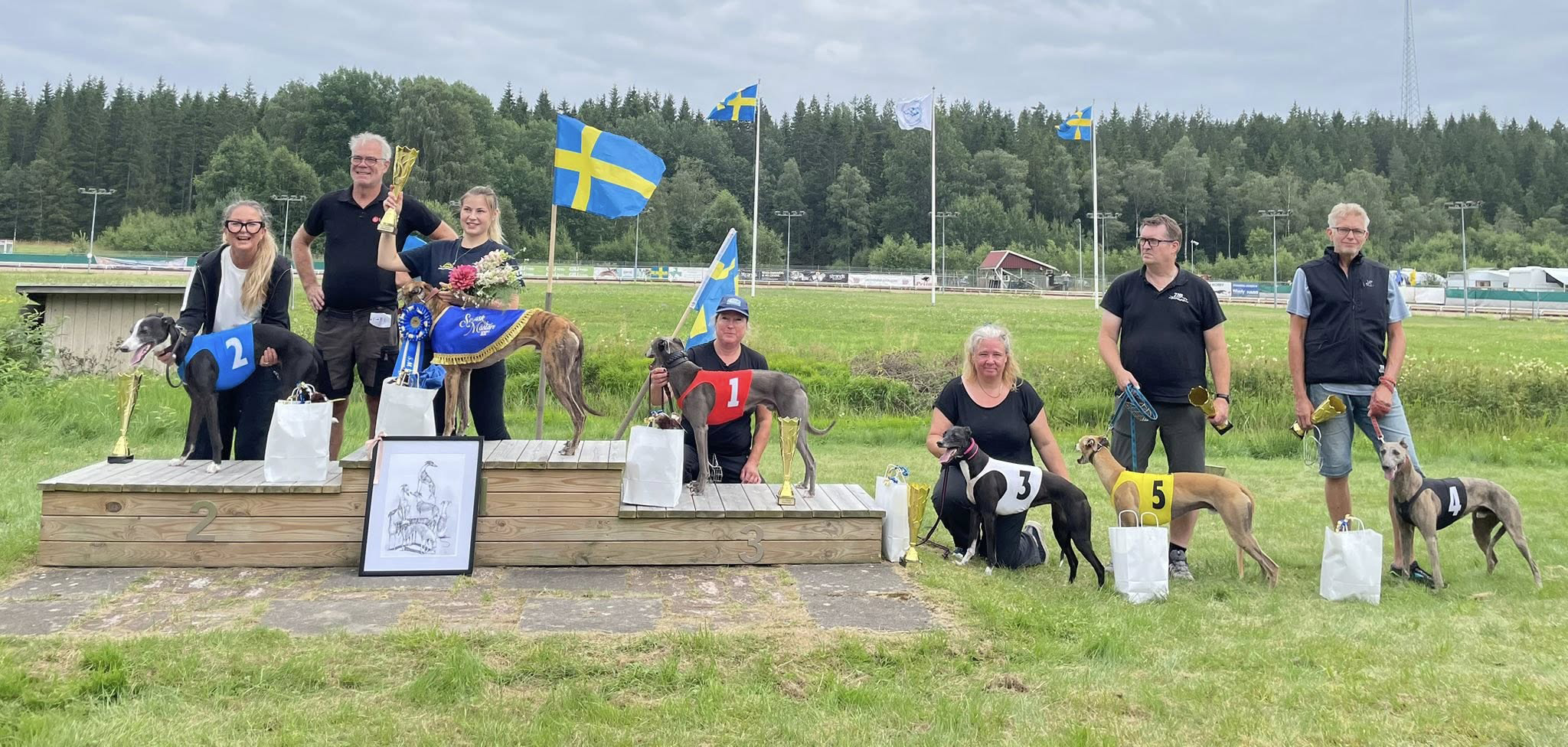 Prispallen lopp 4 Final SM Whippet Sprint 2025