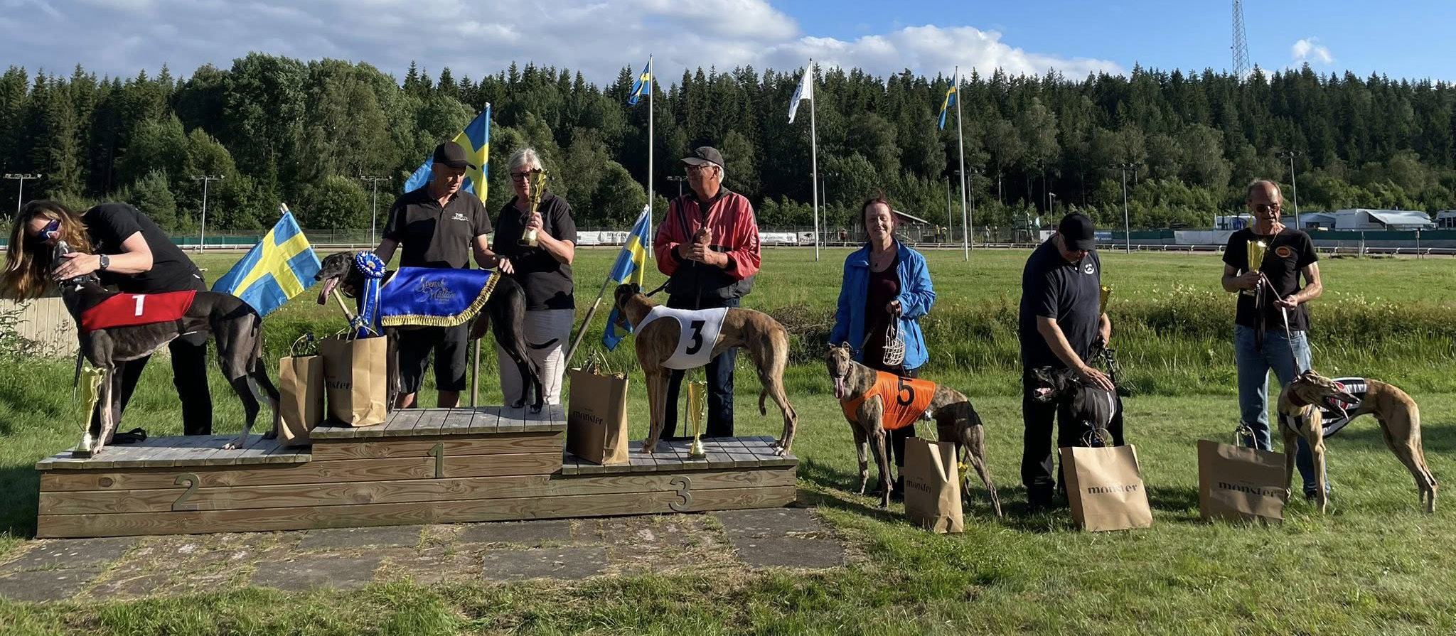 Prispallen lopp 9 Final SM Greyhound Öppna 2025