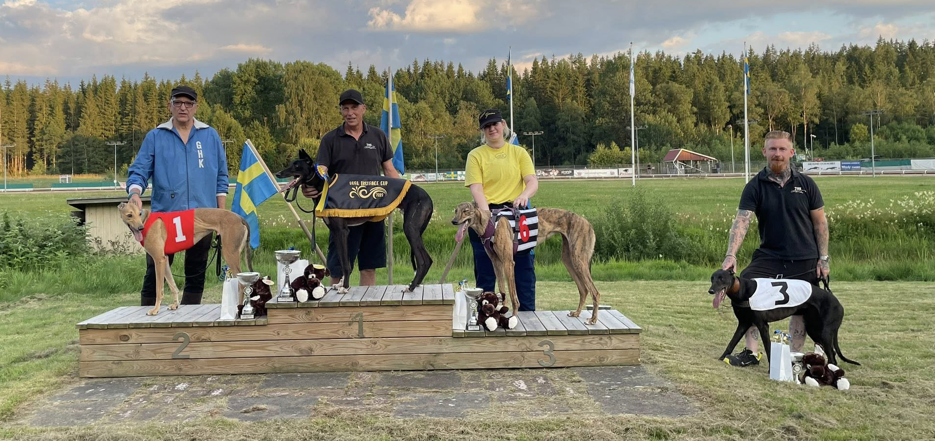 Prispall lopp 15 2D Cup