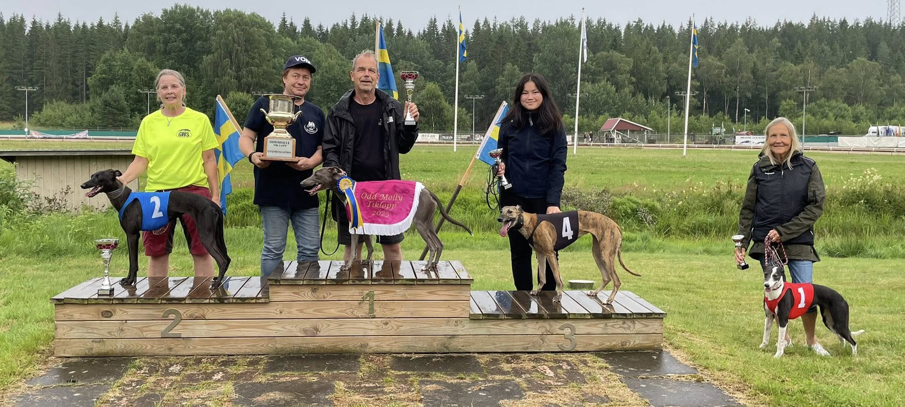 Prispallen lopp 6 Odd Mollys Tiklopp