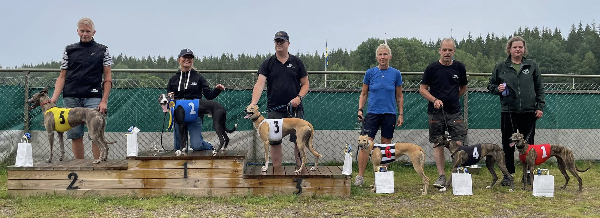 Prispallen lopp 7 Tipsligeloppet Whippet
