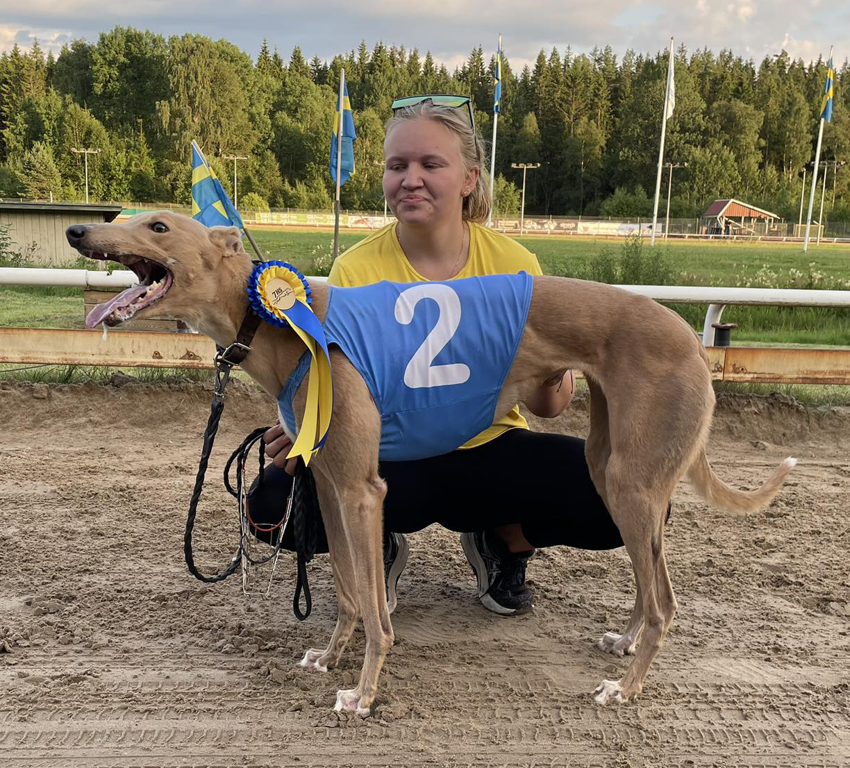 Vinnare lopp 13 SM Greyhound Tikar Kvartsfinal: Shivers
