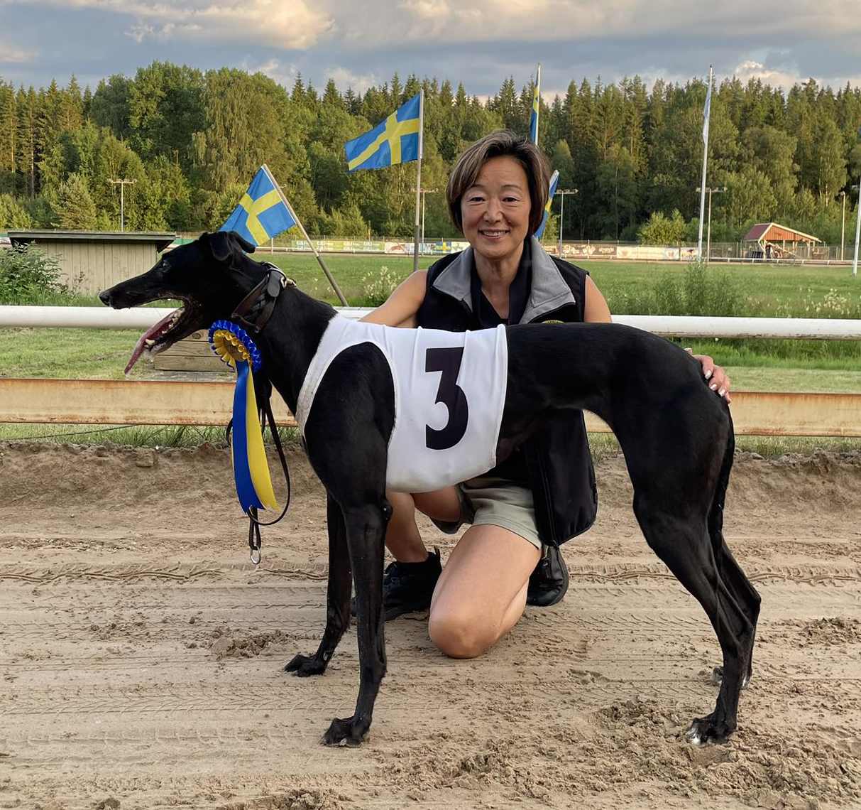 Vinnare lopp 14 SM Greyhound Tikar Kvartsfinal: Blitzn Olympus