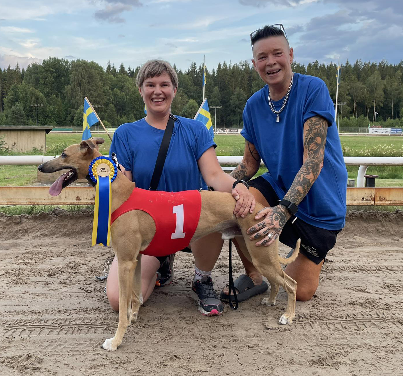 Vinnare lopp 15: SM Whippet Sprint/Veteran Tidskval: Nisse