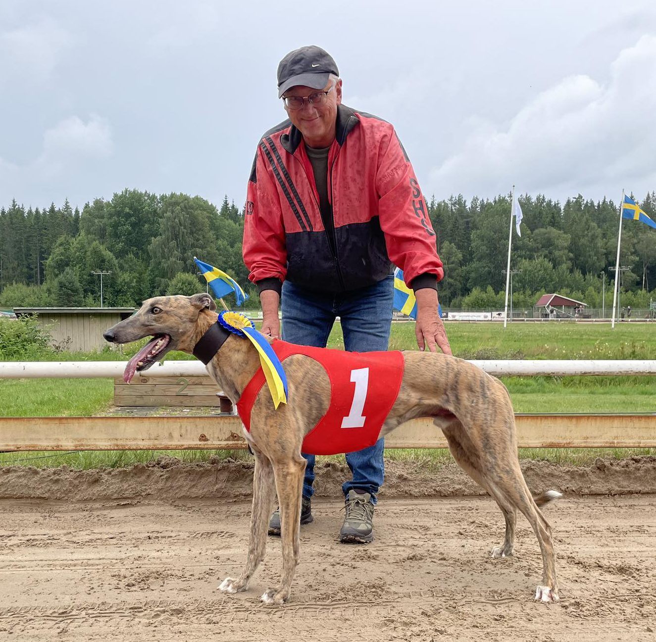 Vinnare lopp 3 SM Greyhound Öppna Semifinal: Win Vinn