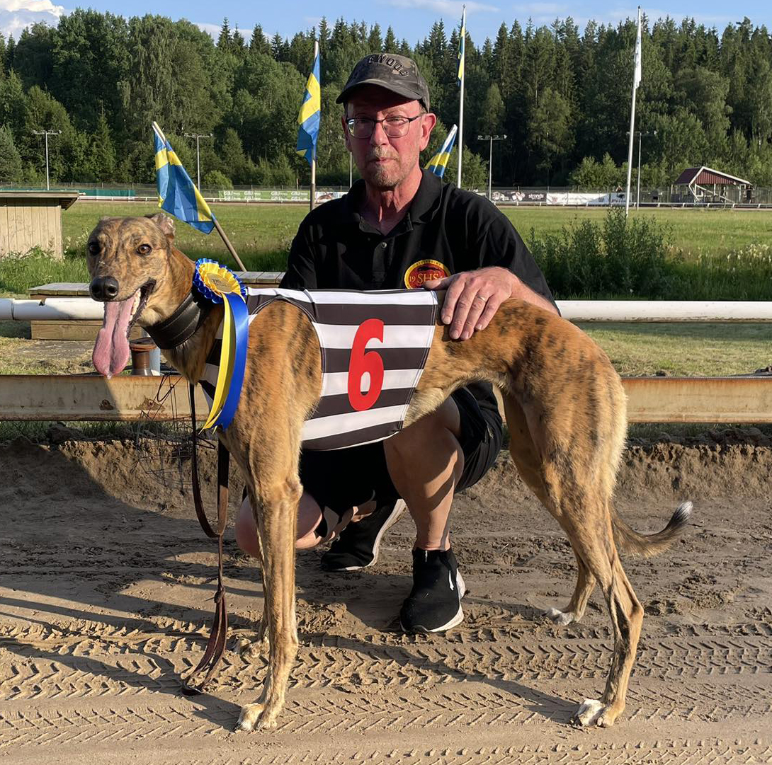 Vinnare lopp 5 SM Greyhound Sprint Kvartsfinal: Tarragon Dream Vinnare lopp 5 SM Greyhound Sprint Kvartsfinal: Tarragon Dream
