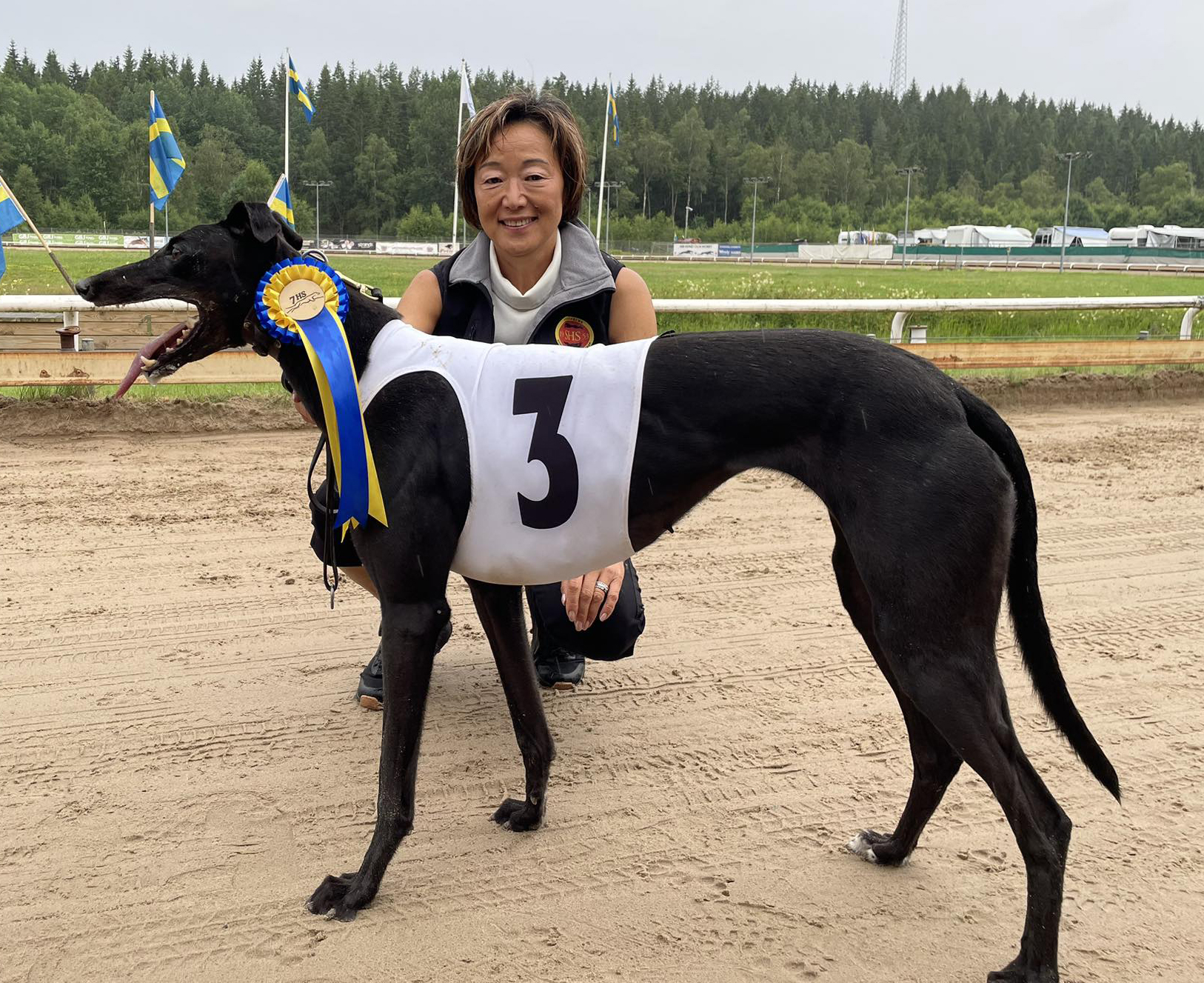 Vinnare lopp 4 SM Greyhound Tikar Seminfinal: Blitzn Olympus