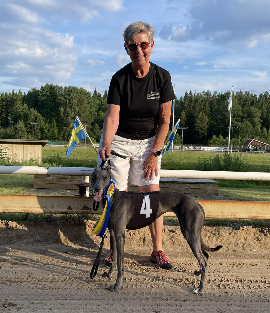 Vinnare lopp 4 SM Whippet Öppna/Tikar Tidskval: MB Katrina Vinnare lopp 4 SM Whippet Öppna/Tikar Tidskval: MB Katrina