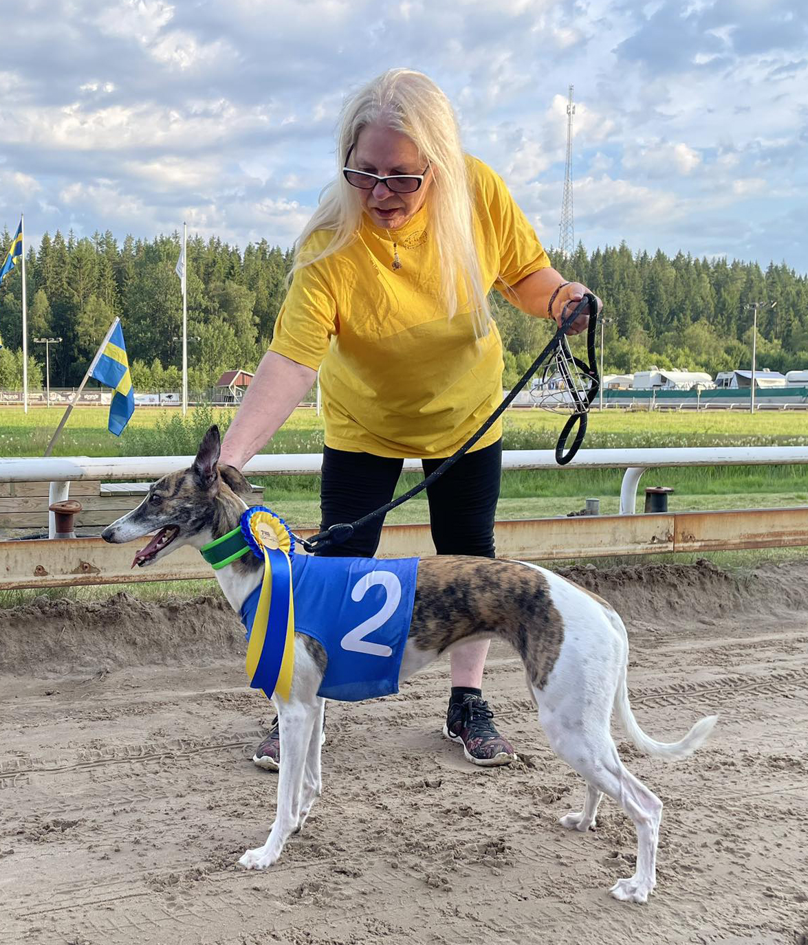 Vinnare lopp 6 SM Whippet Öppna/Tikar Tidskval: HM Celestia
