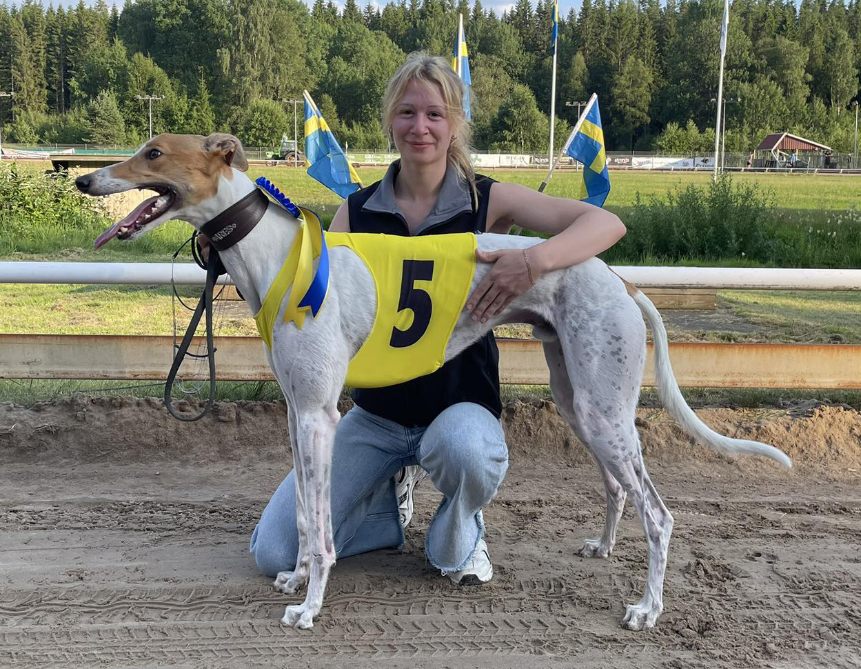 Vinnare lopp 7 SM Greyhound Sprint Kvartsfinal: Legacy of Power