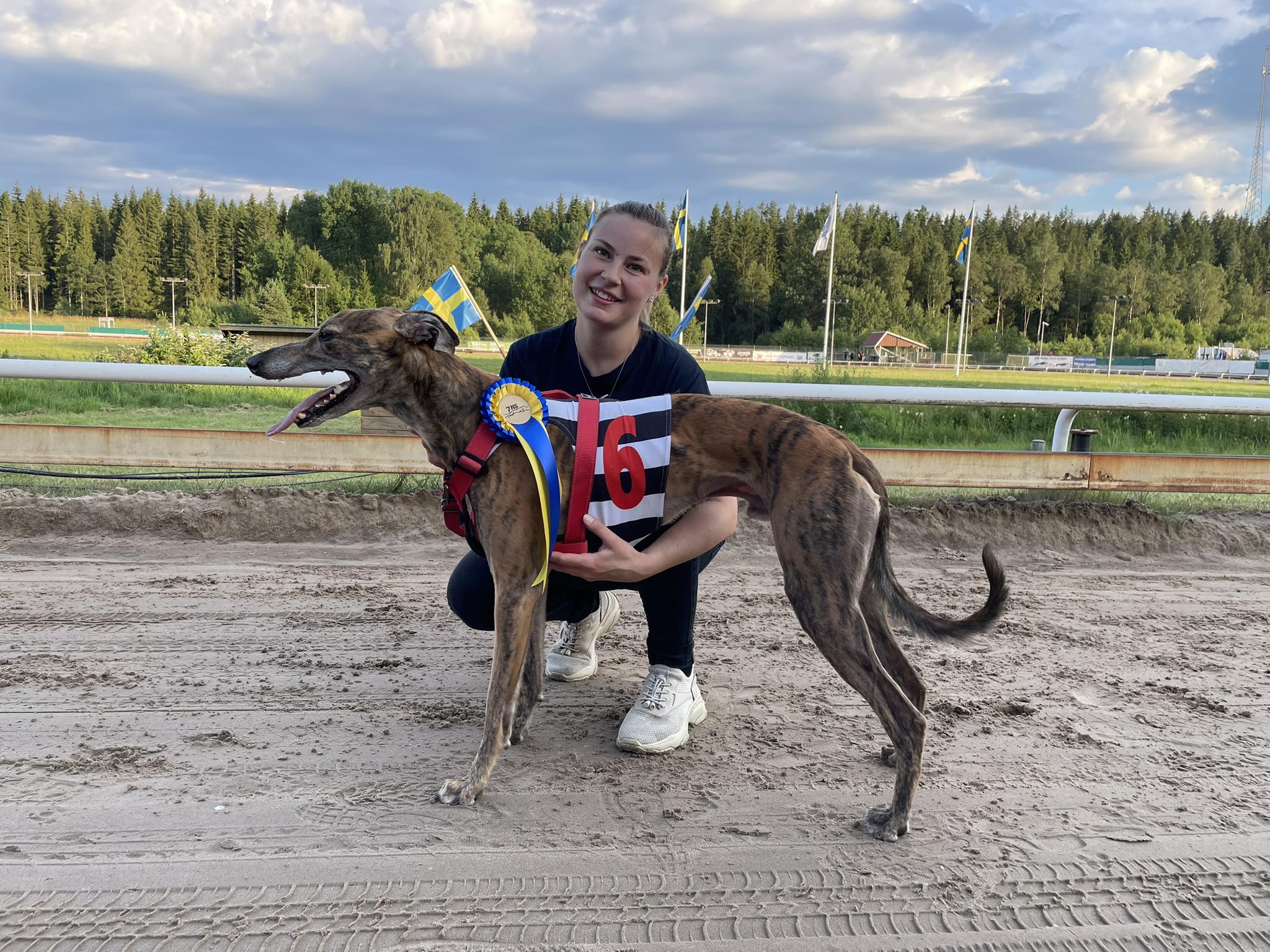 Vinnare lopp 9 SM Whippet Sprint/Veteran Tidskval: YM’s Storm Club